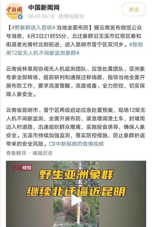 大象新闻爆料情感剧本是真的吗,真相揭秘,是虚构还是真实? 第3张 大象新闻爆料情感剧本是真的吗,真相揭秘,是虚构还是真实? 第3张